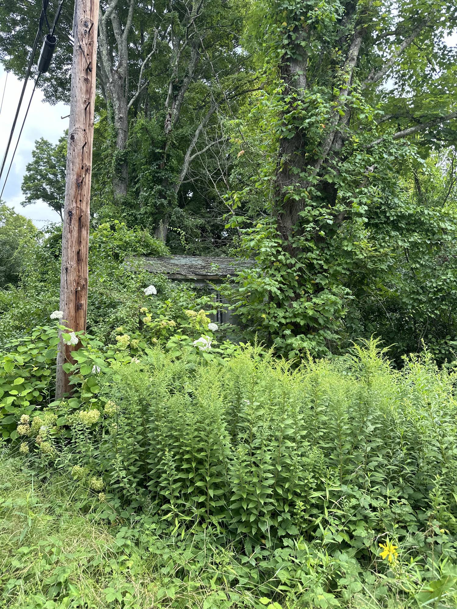 Beautiful residential land